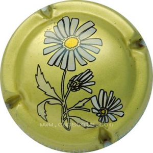 Capsule Or mat