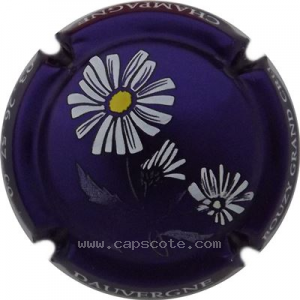 Capsule Violet métallisé