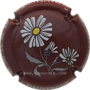 Capsule Marron