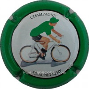 Capsule 2010, Tour de France, Maillot vert