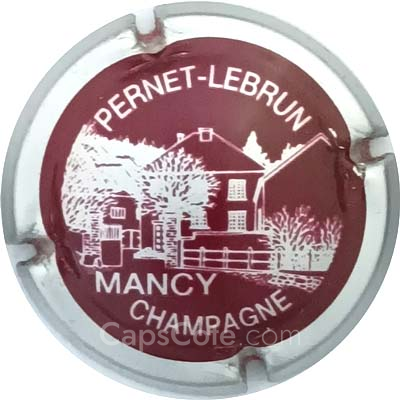 Capsule Bordeaux foncé contour argent