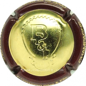 Capsule Contour marron
