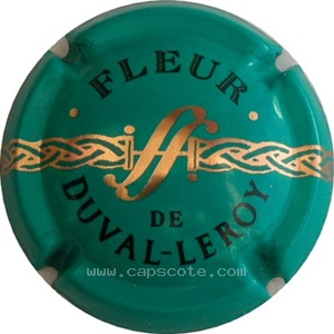 Capsule Fond Turquoise