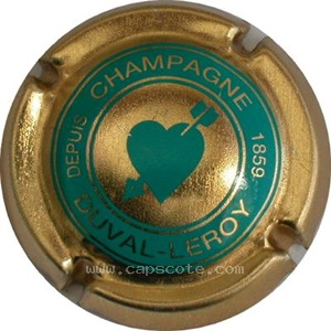 Capsule Turquoise, contour or