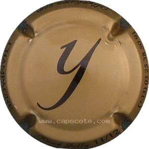 Capsule 11- Lettre y