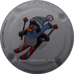 Capsule 24a - Pingouin a ski