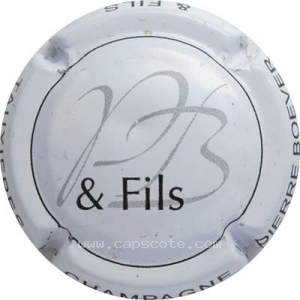 Capsule Fond blanc, gris et noir