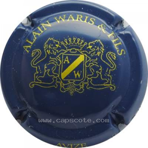 Capsule Bleu foncé et or-jaune