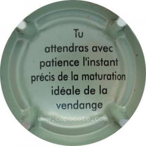 Capsule Patience 2