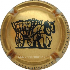 Capsule Or-bronze