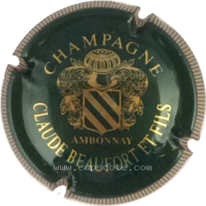 Capsule Vert et or