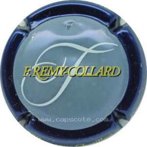 Capsule Fond gris, contour bleu