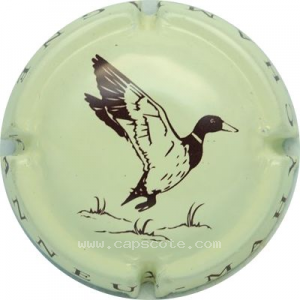 Capsule Canard