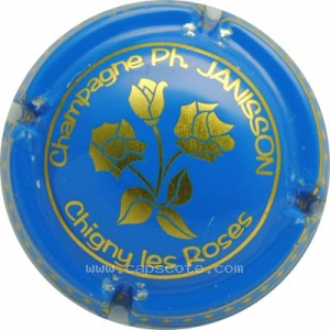 Capsule Fond bleu et or, roses or