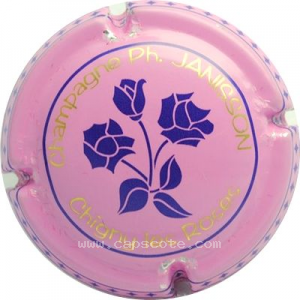 Capsule Fond rose et or, roses bleues
