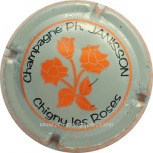 Capsule Fond gris et noir, roses orange