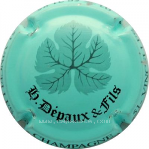 Capsule Turquoise