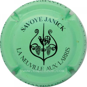 Capsule Vert pâle et noir