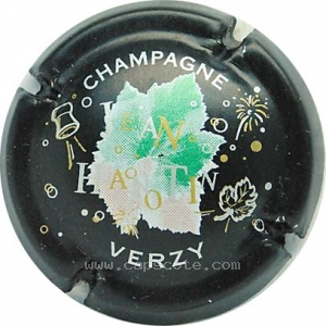 Capsule Fond noir, feuille argent vert foncé