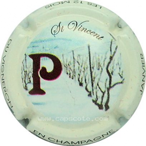 Capsule 01 - P - Janvier