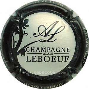 Capsule Argent, contour noir