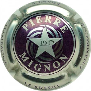 Capsule Contour métal, violet foncé