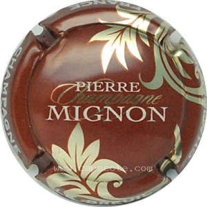 Capsule Feuilles or pâle, marron