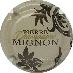 Capsule Feuilles marron, greige