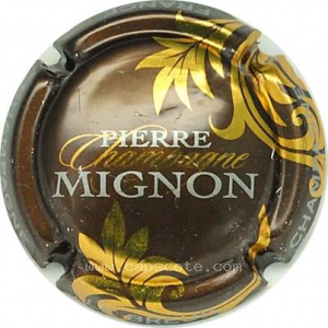 Capsule Feuilles or, marron foncé