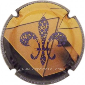 Capsule 7- Jaune et noir, Lys violet