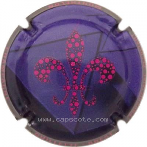 Capsule 7- Violet foncé et noir, Lys fuchsia