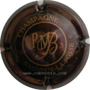 Capsule Marron et or
