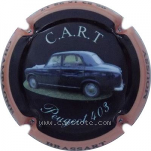Capsule Peugeot 403