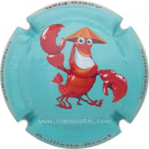 Capsule 9- Fond turquoise