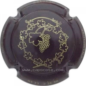 Capsule Marron et or