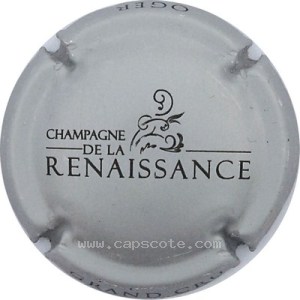 Capsule Argent mat et noir