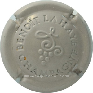Capsule Gris