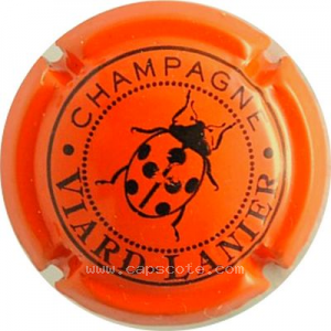 Capsule Orange et noir