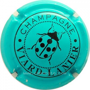 Capsule Turquoise et noir