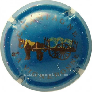 Capsule Bleu, cheval marron