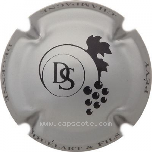Capsule Argent et noir