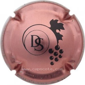 Capsule Cuivre-rosé et noir