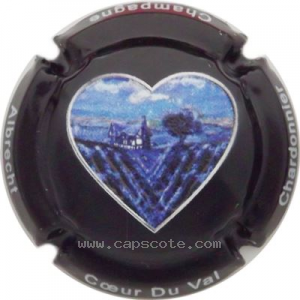 Capsule Fond noir, intérieur paysage bleuté en relief