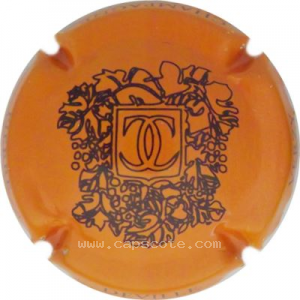 Capsule Orange et noir