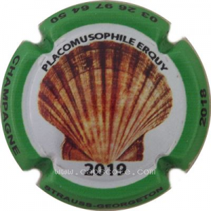 Capsule 2019, Contour vert