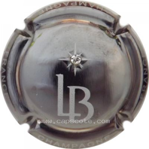 Capsule Nickel et blanc, strass, grandes lettres sur la jupe