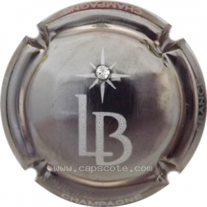 Capsule Nickel et blanc, strass, petites lettres sur la jupe