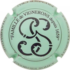 Capsule Vert pâle et noir