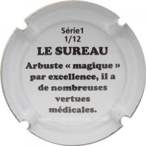 Capsule Le sureau 2