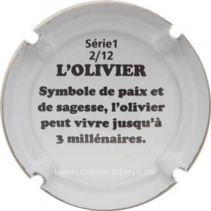 Capsule L'olivier 2